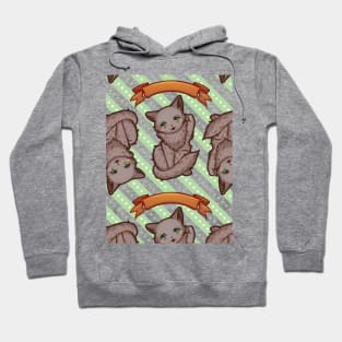 Kitty Final Boss Pattern Hoodie